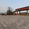 江苏淹城野生动物世界Jiangsu Wild Animal Park 061