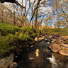 Loch Trool Stream