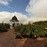 Rainbow over Rose Garden, Voyager Estate, Margaret River