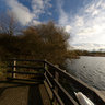 Fishers Green
