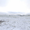 Nazeing Common - Winter Wonderland