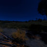 Moonlight Camp