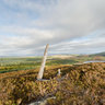 Abriachan Forest Viewpoint