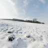 Snowy bathtub in field near East Farndon