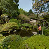 Hotoku Ninomiya Jinja Shrine, Odawara