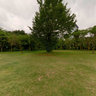 LIANHUASHAN PARK SHENZHEN 