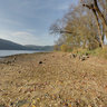Shore of the Slapy dam at Zviretice