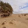 white desert lunch camp area