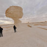 white desert mushroom4