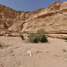 wadi degla 2