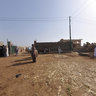 Camel Market2
