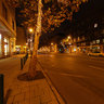 Bus stop on Bartok Bela street