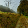 Morgentau im Frankenwald Bayern 2950