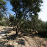 Monumental Rock - «Kouloures» area, Metohi Hatzitraganou
