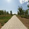 Road to the Big Yarovoye lake