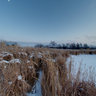 Chicago Botanical Gardens Winter Scene