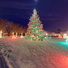 Christmas at the Chicago Botanical Gardens