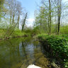 Le Talent (river) - Oulens-sous-Echallens
