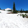 Mt. Rainier at Paradise Lodge