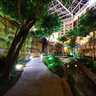 Gaylord Texan Hotel