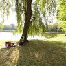 Skaryszewski Park