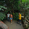 ZOO Prague - Indonesian jungle