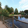ZOO Prague - flamingos