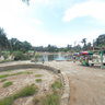 Vivero Forestal Chimbote 1