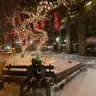 Christmas lights at the McGill College ave.