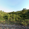 Estrada de Ferro Mogi da Cruzes - Sabaúna