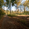 Dortmund, Kurler Wald