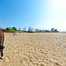 Riders and horses