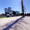 SALVADOR DEL MUNDO 2011