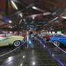 Hollyhood Dreams Cars 4
