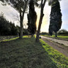 Via Appia Antica 4