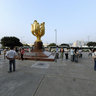Golden Bauhinia Square - Forever Blooming Bauhinia