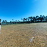 Parque nacional EL PALMAR