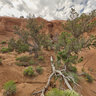 Kodachrome Basin State Park, Utah, Shakespeare Arch