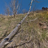 View towards South-West from trail to Paul Bunyan's Woodpile