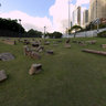 Sydney Rocks