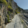 Natural Park of the 5 TERRE - Way of love