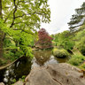 The swans lake, in the garden of caves of Cambrai