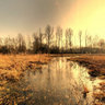 The marshes of Bonnance