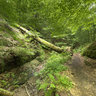 Landgrafenschlucht