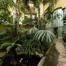 Orangery - Botanical Garden