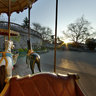 Montmartre's Caroussel