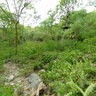 Lottery farm trails