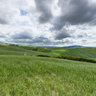 Tuscany countryside - 