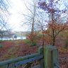Benbow Pond East Side Cowdray Park Midhurst