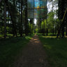 Forest Of Dean Cathedral